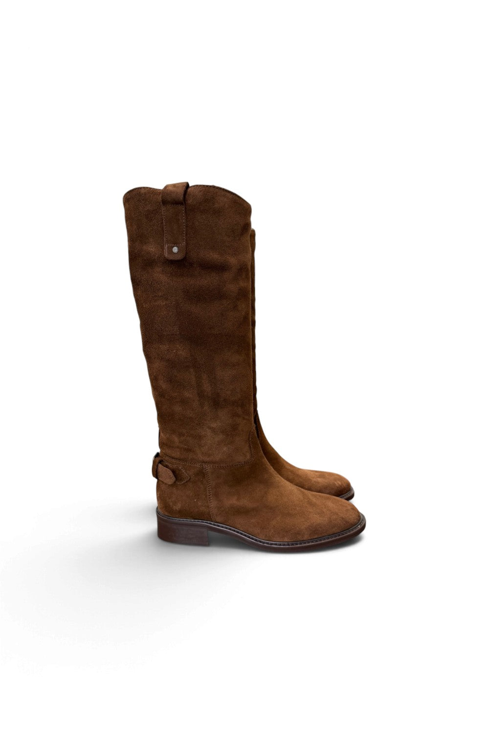 Stivale fibbie suede mustang Anima 