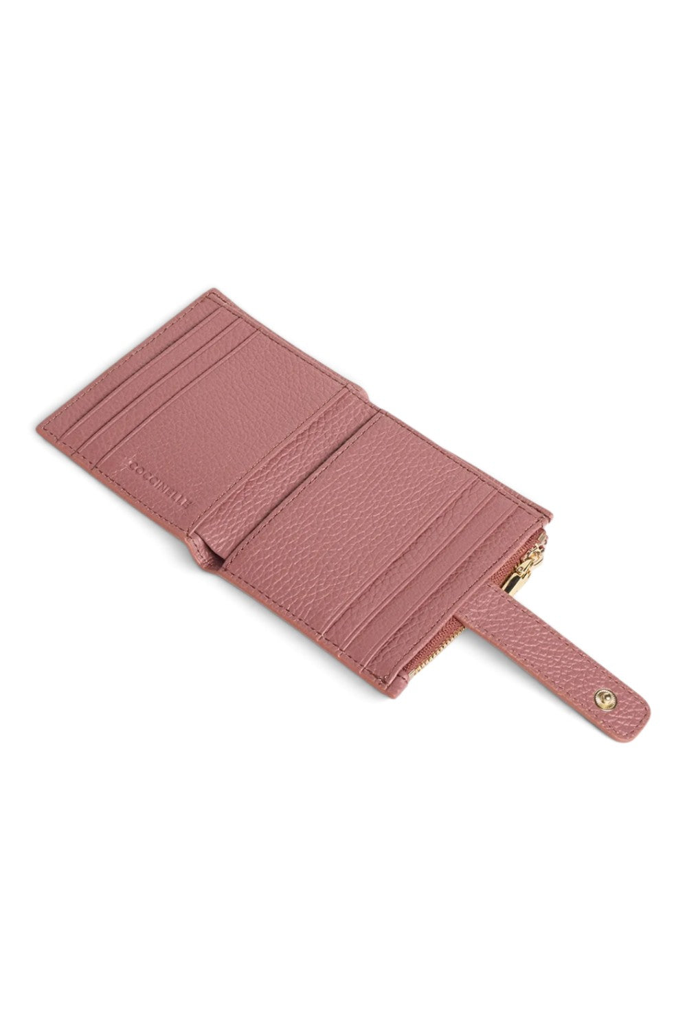 P.carte p.foglio Coccinelle winter rose 