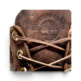 Stivale Impermeabile Timberland® Premium 6-Inch da Uomo in marrone 127097214 